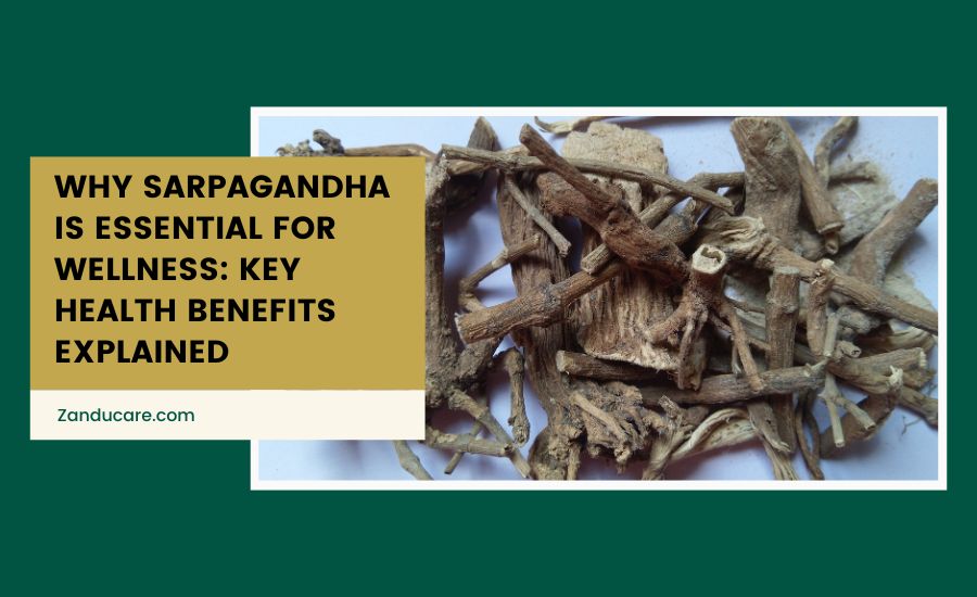 Sarpagandha