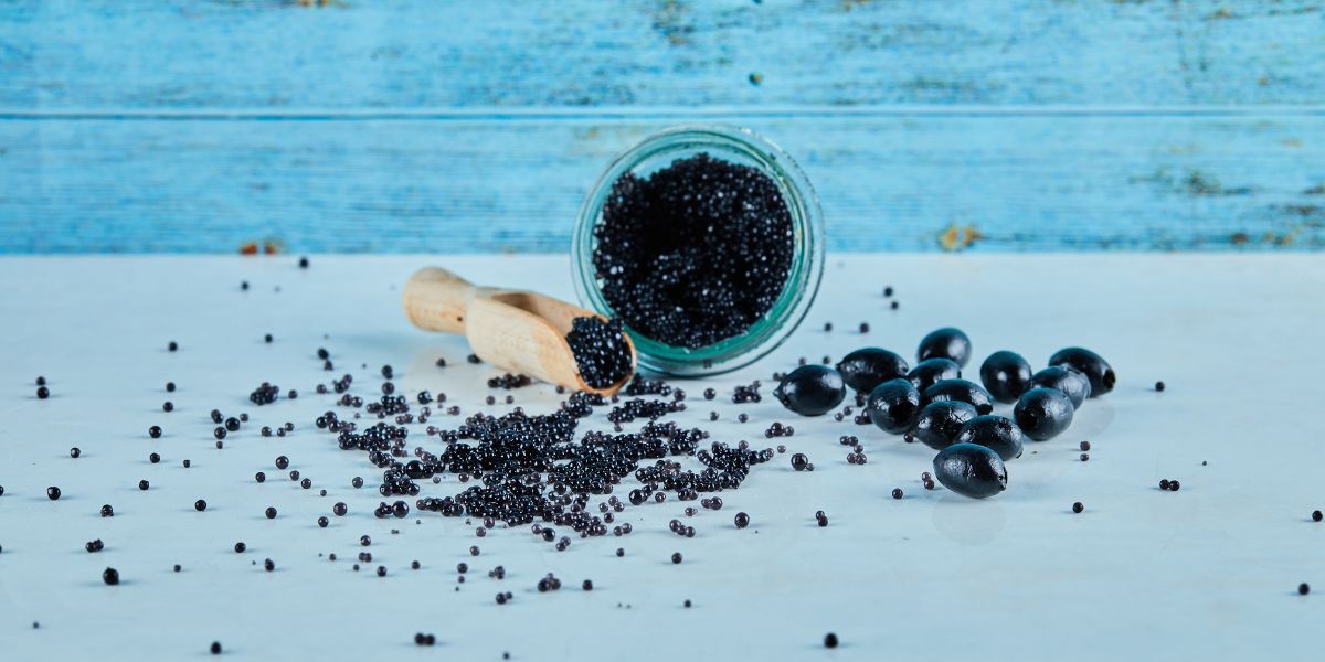Shilajit Vs Viagra