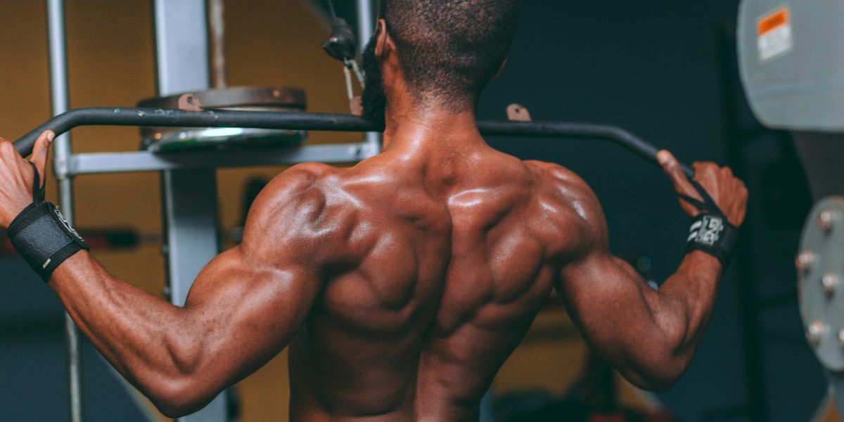 Shilajit for Bodybuilding