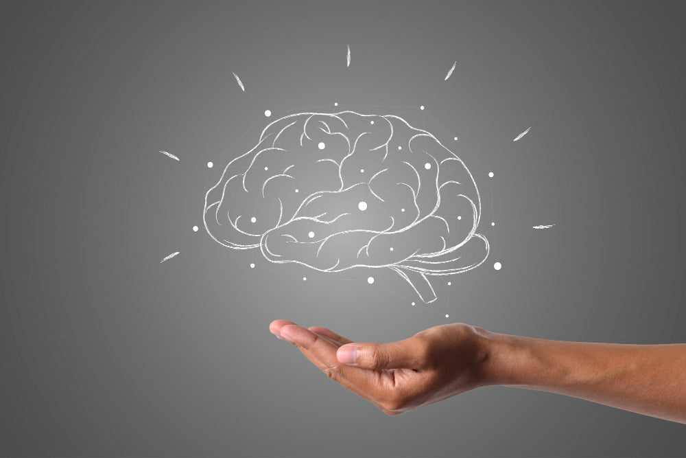 Best Ayurvedic Herbs to Improve Brain Health