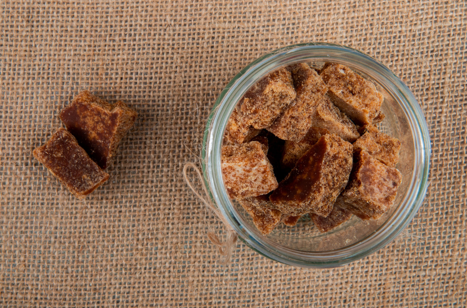 Jagger cubs image in a bowl