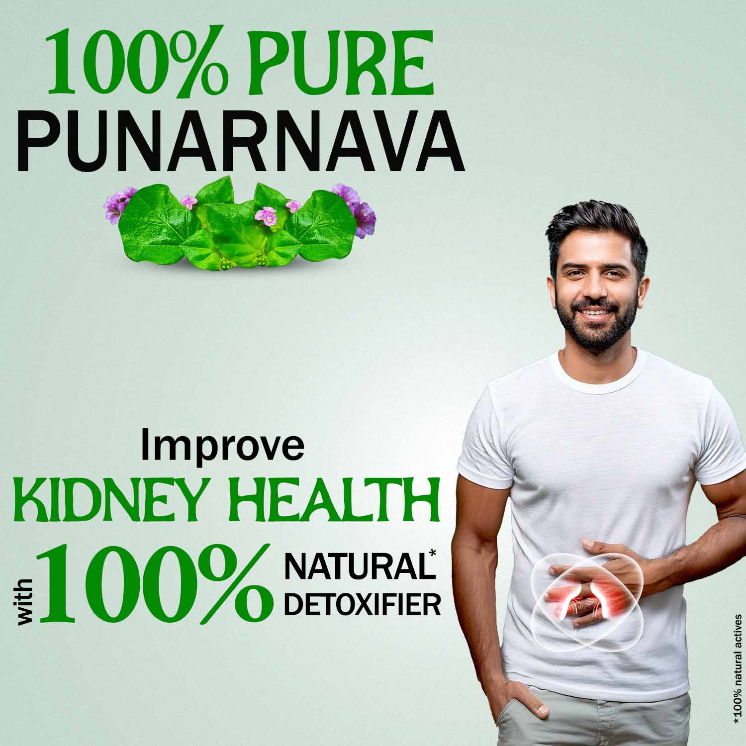 Kidney Detox Support (Pure Punarnava)