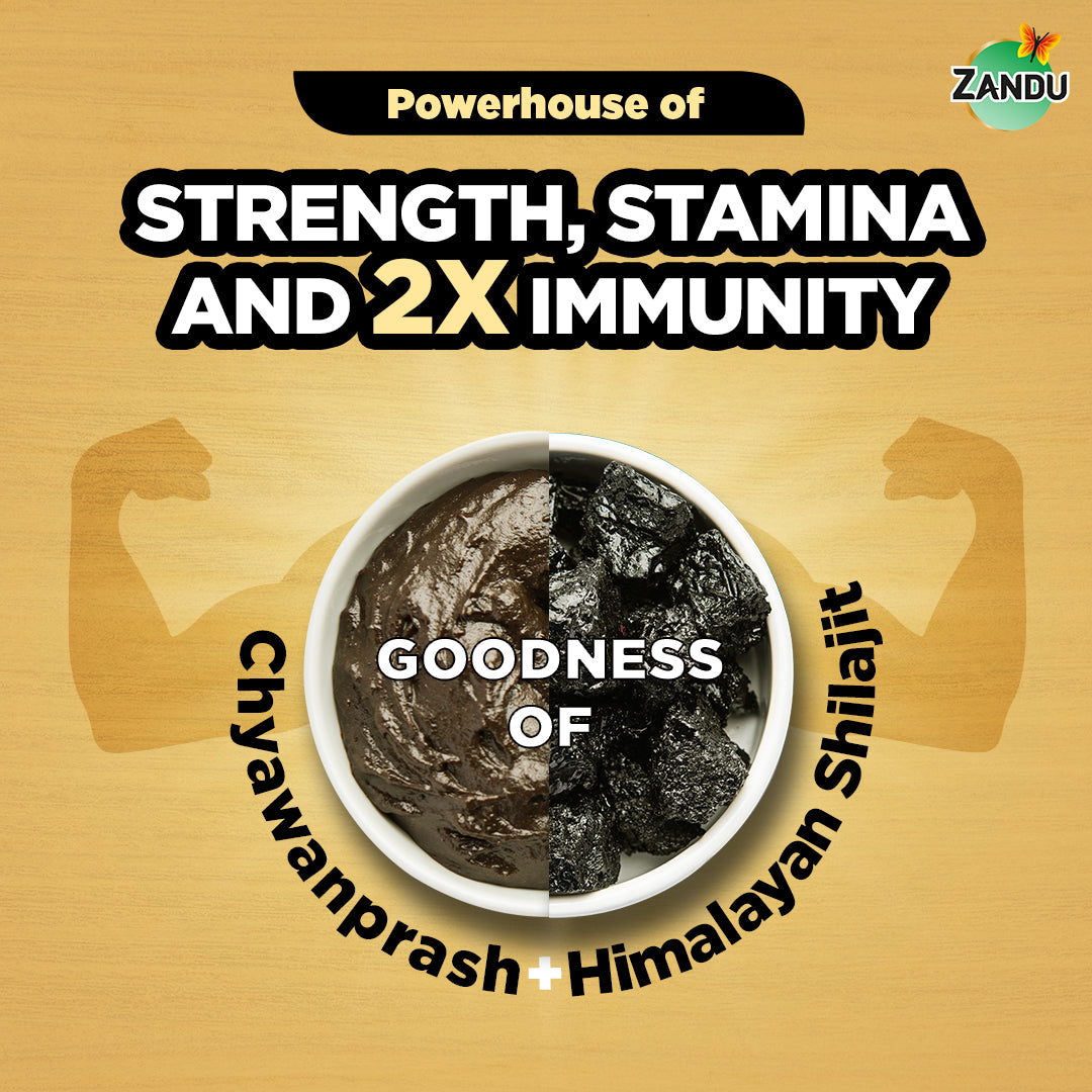 Zandu Shilajitprash for Strength (100g)