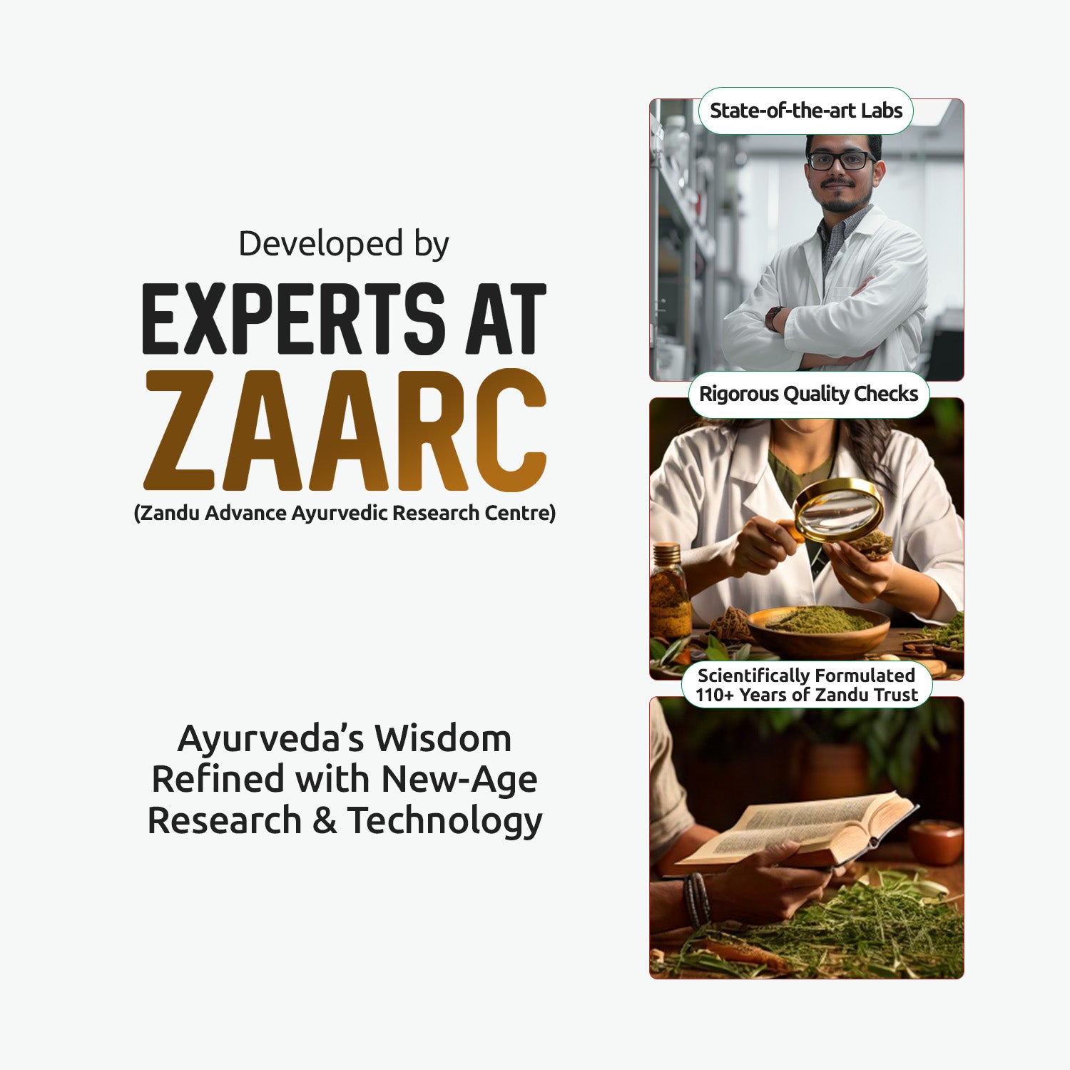 Ashwagandha Gold Plus formulation by Zandu Advanced Ayurvedic Research Centre (ZAARC)