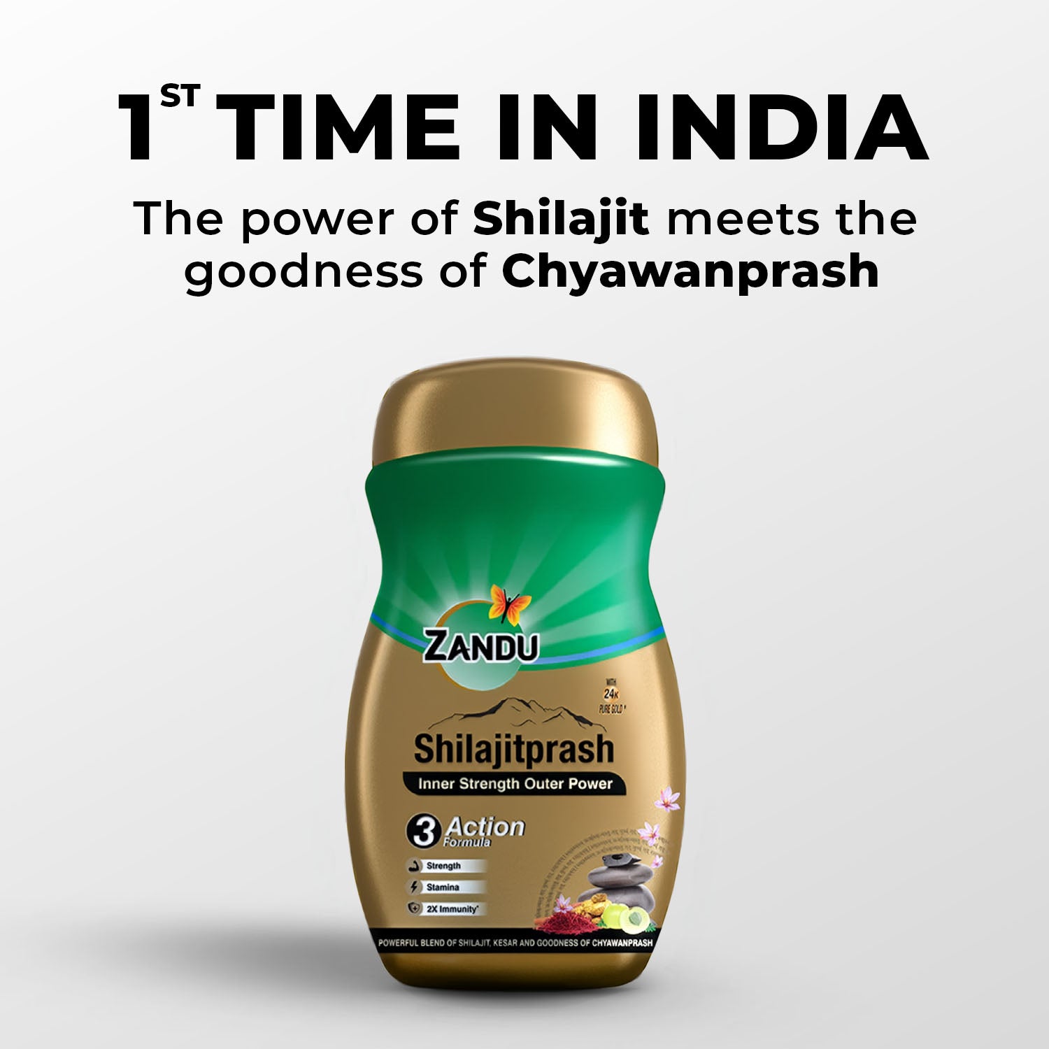 Zandu Shilajitprash for Strength (No added Sugar)