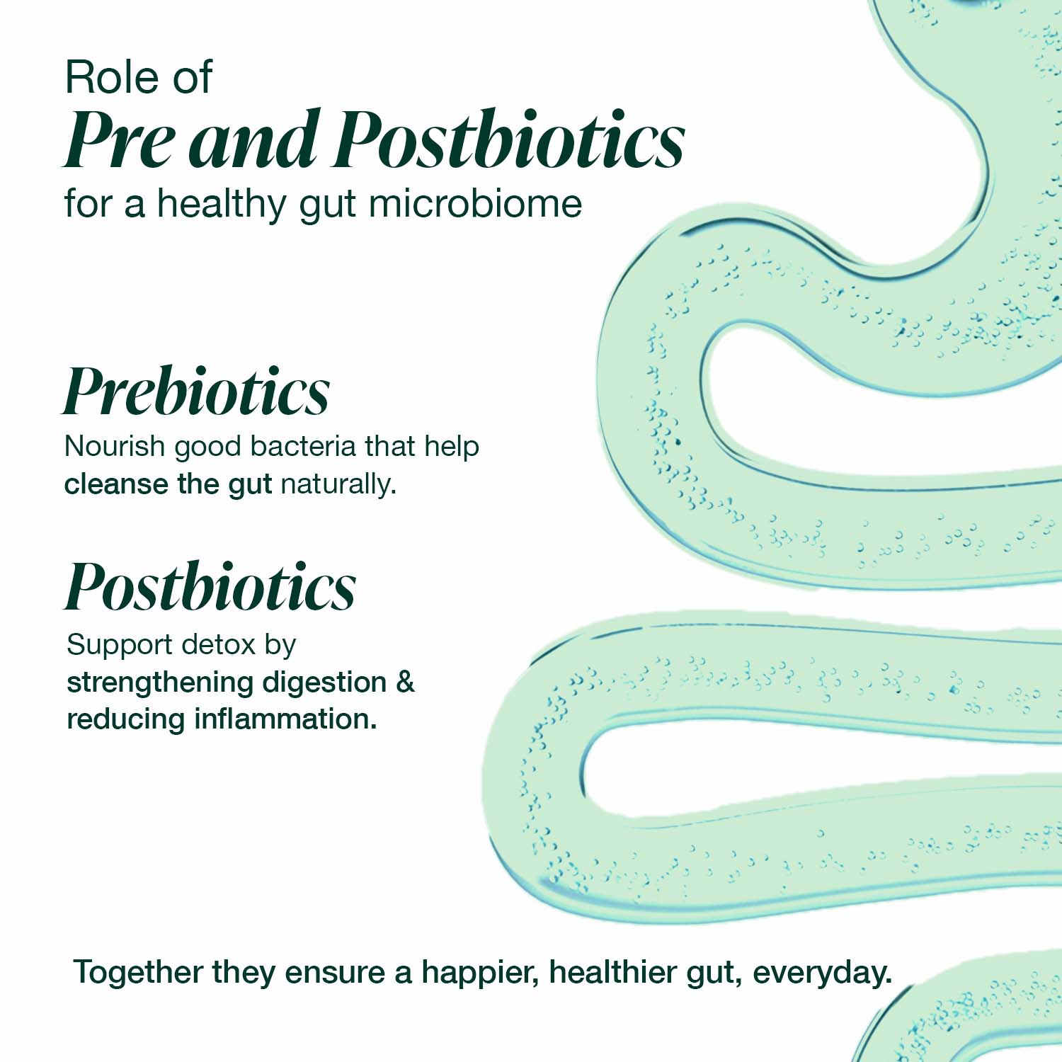 Gut Cleanse & Detox Shots - Pre & Postbiotics