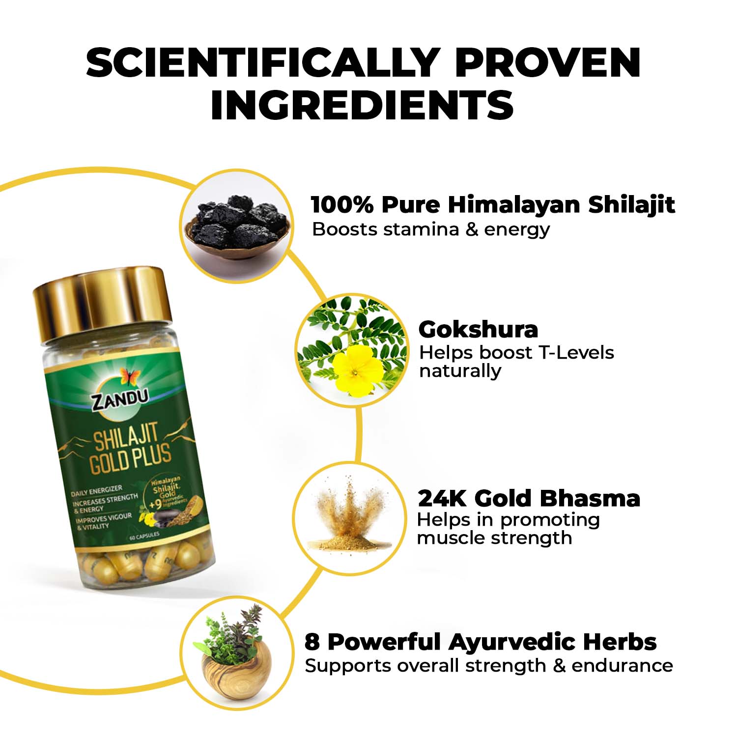 Shilajit Gold Plus Caps INGREDIENTS