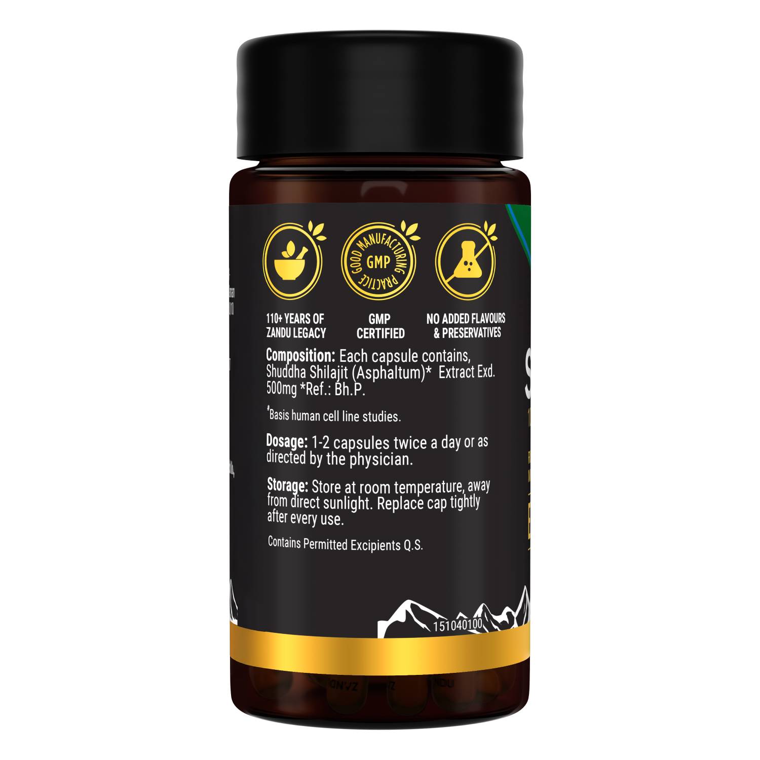 Zandu Shilajit capsule pack