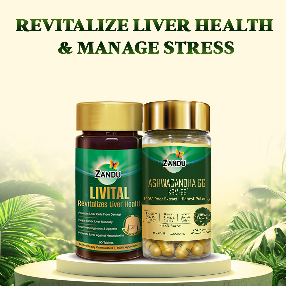 Zandu Livital (60 Tabs) + Ashwagandha KSM-66 (60 Caps)