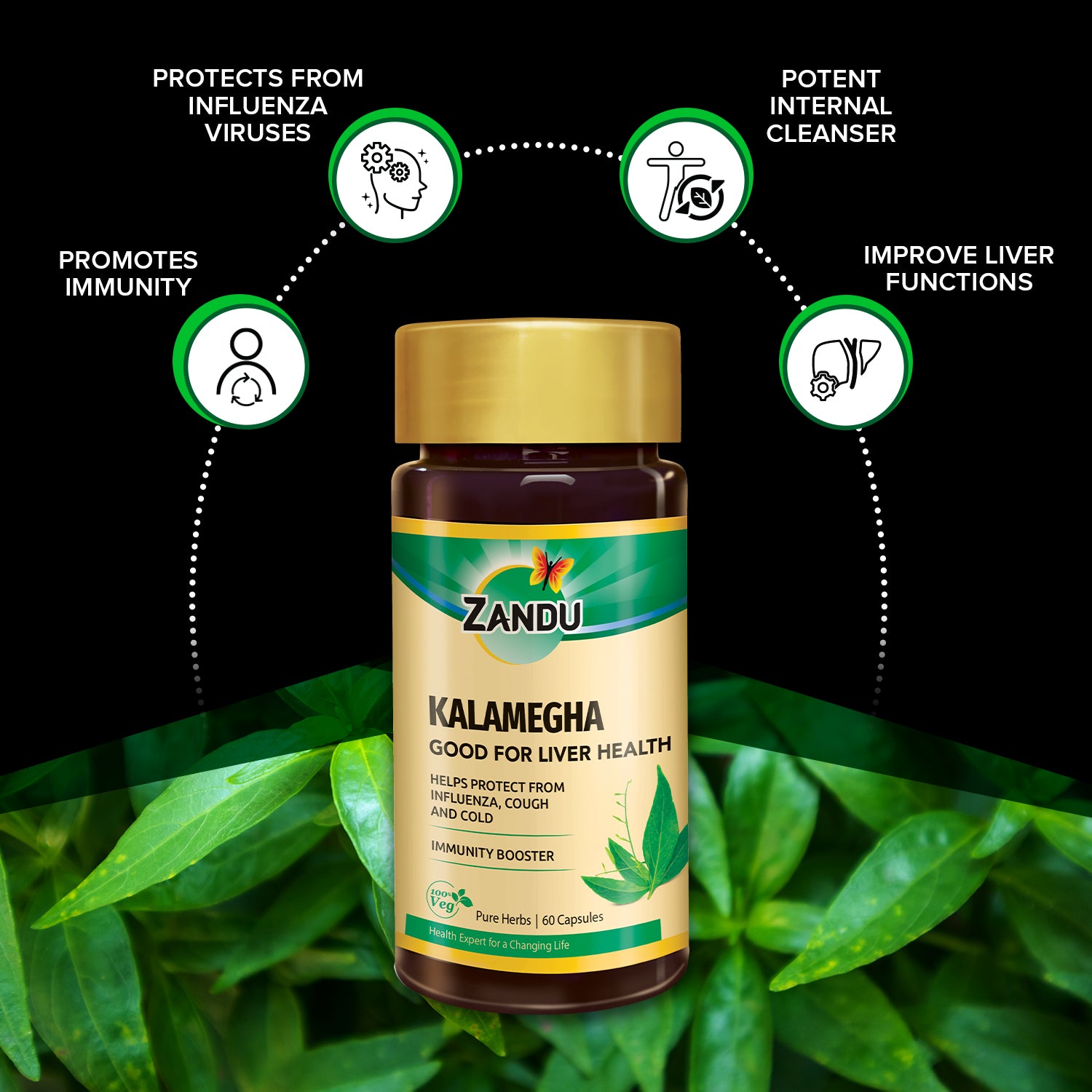 Kalamegha Capsule benefits
