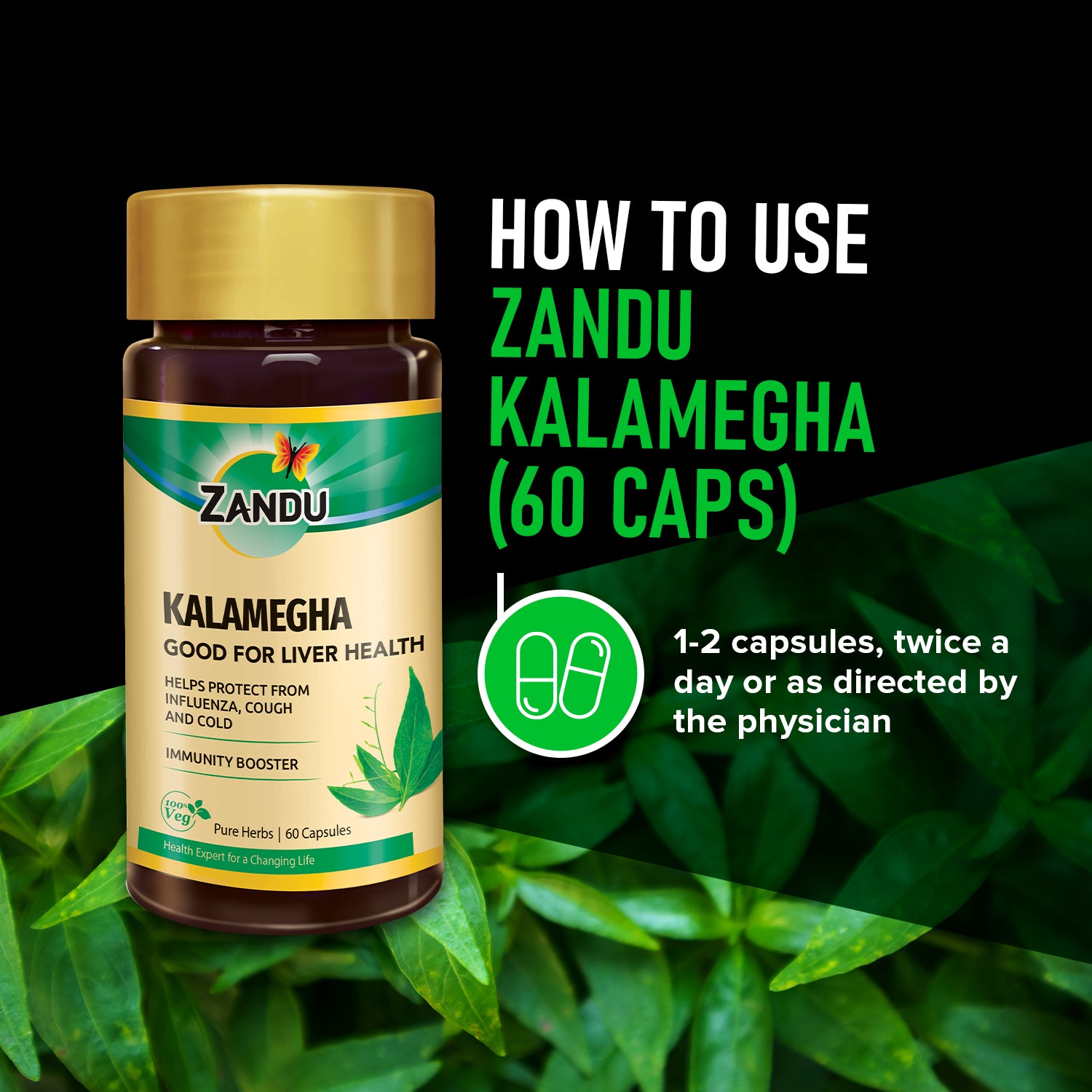 Kalamegha Capsules