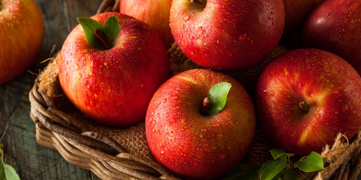 Apple Diabetes