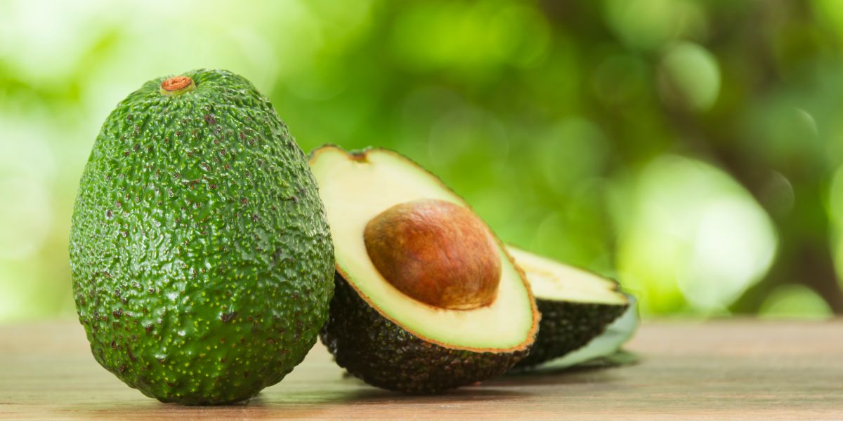 Avocado Diabetes