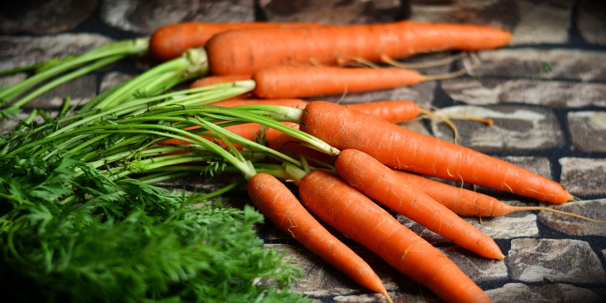 Carrot Diabetes