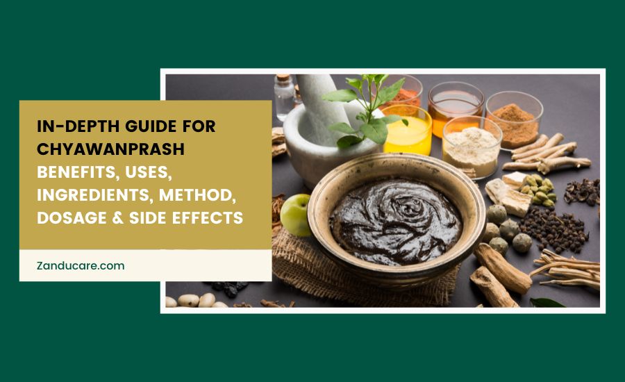 Understanding Chyawanprash 