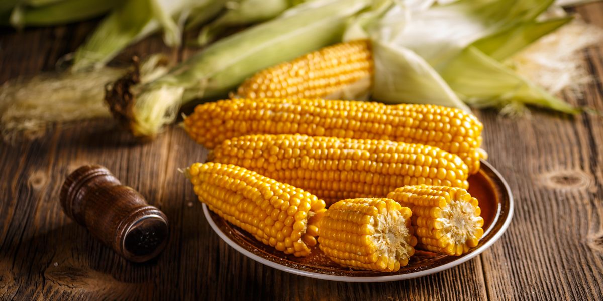 Corn Diabetes