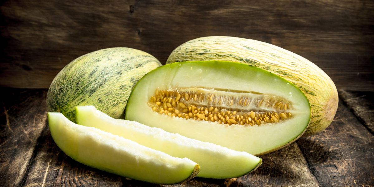 Muskmelon Diabetes