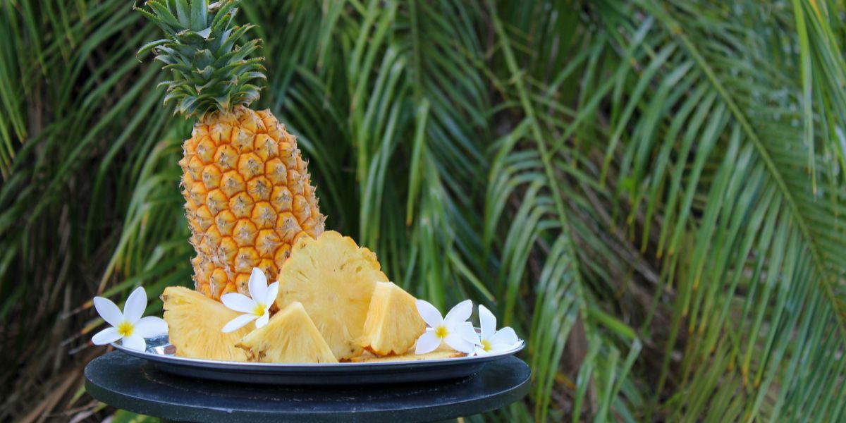 Pineapple Diabetes