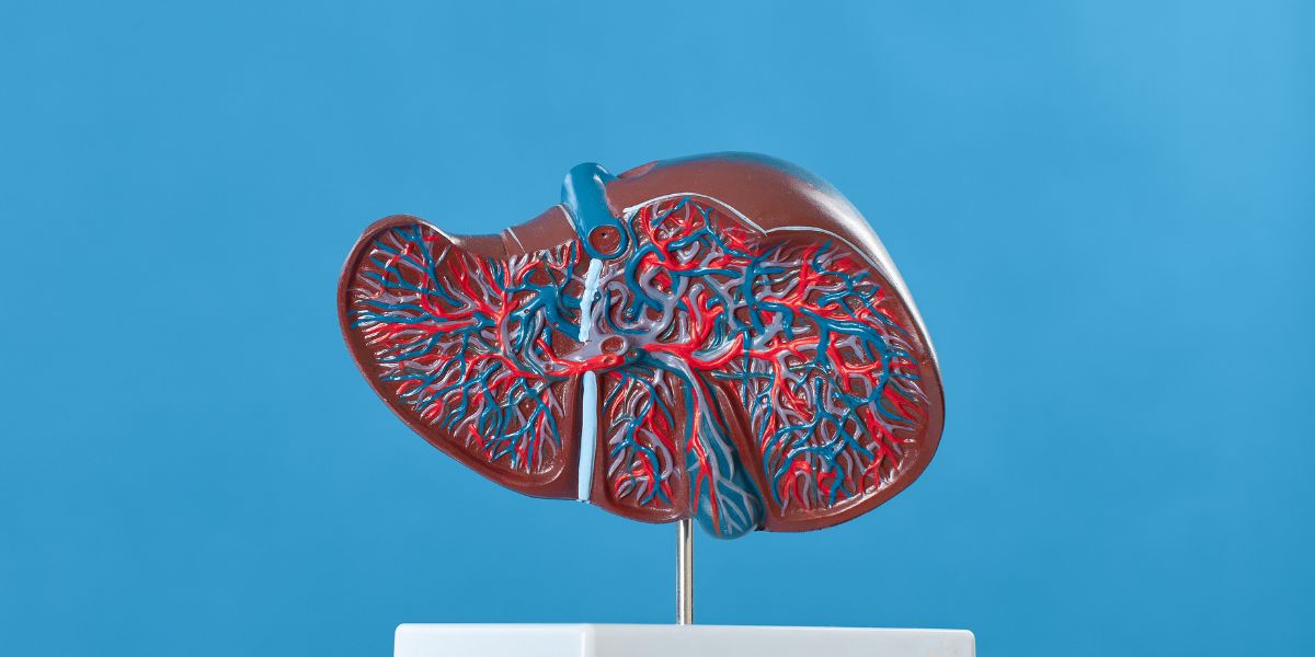 Protect your liver