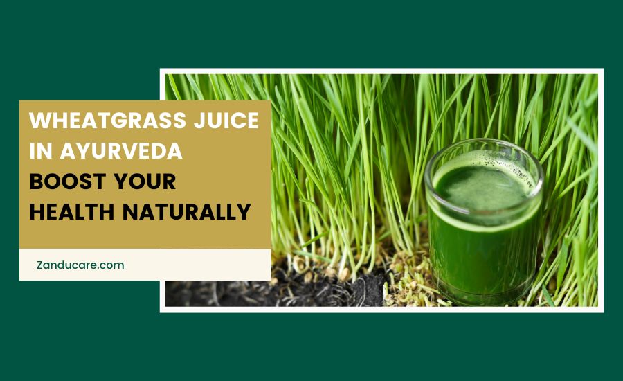 Wheatgrass 