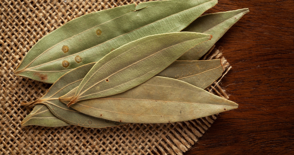 Cinnamon Leaf 