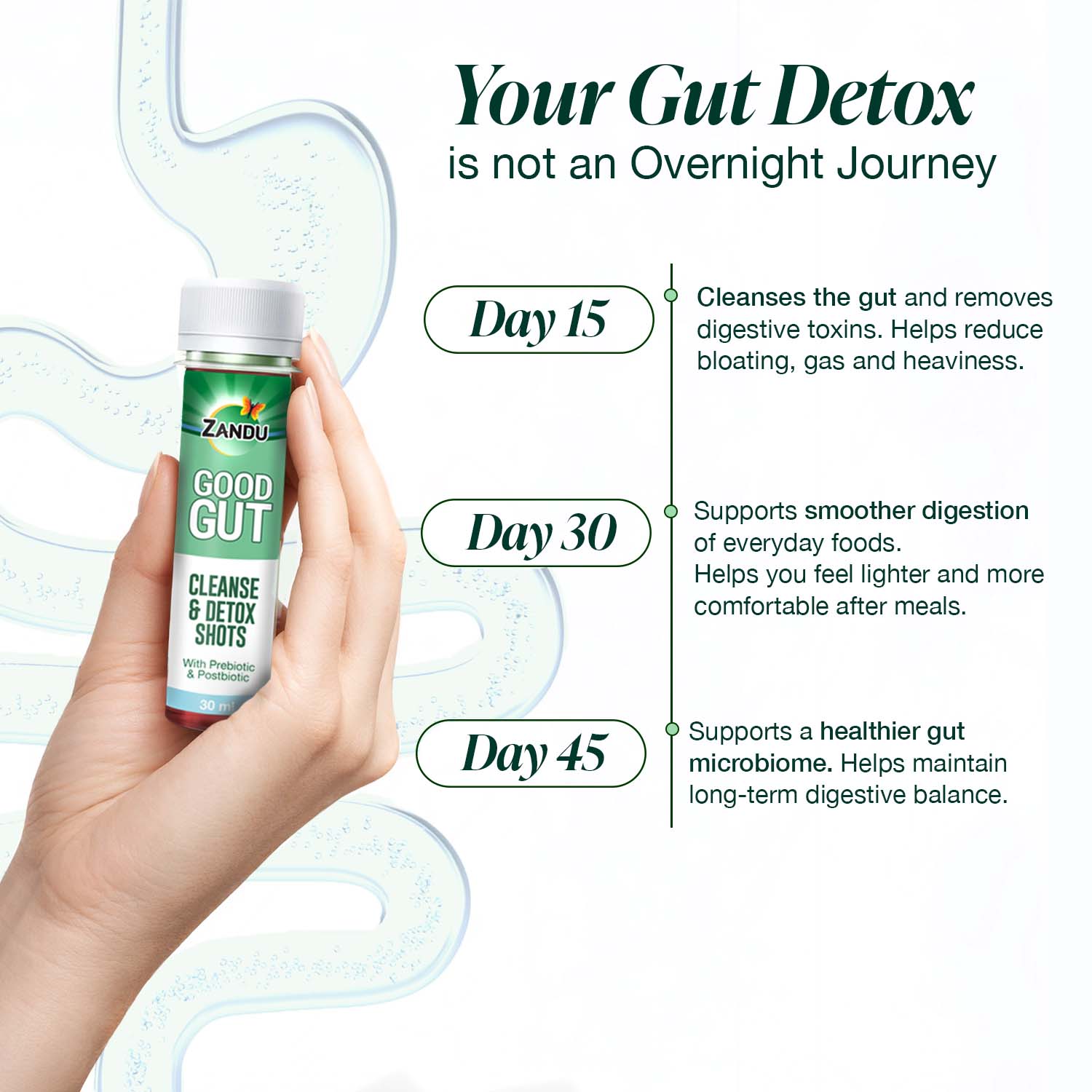 Gut Cleanse & Detox Shots - Pre & Postbiotics