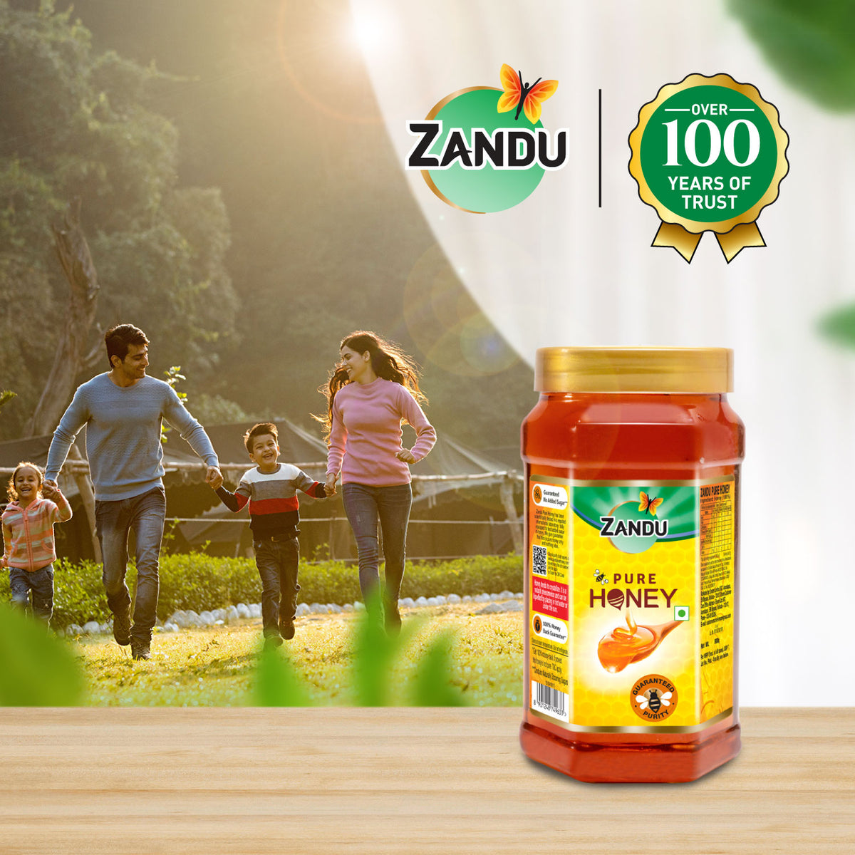 Zandu Pure Honey 500g