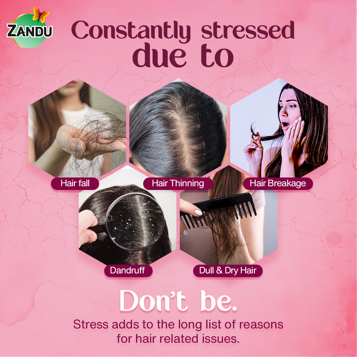Common Hair Issues