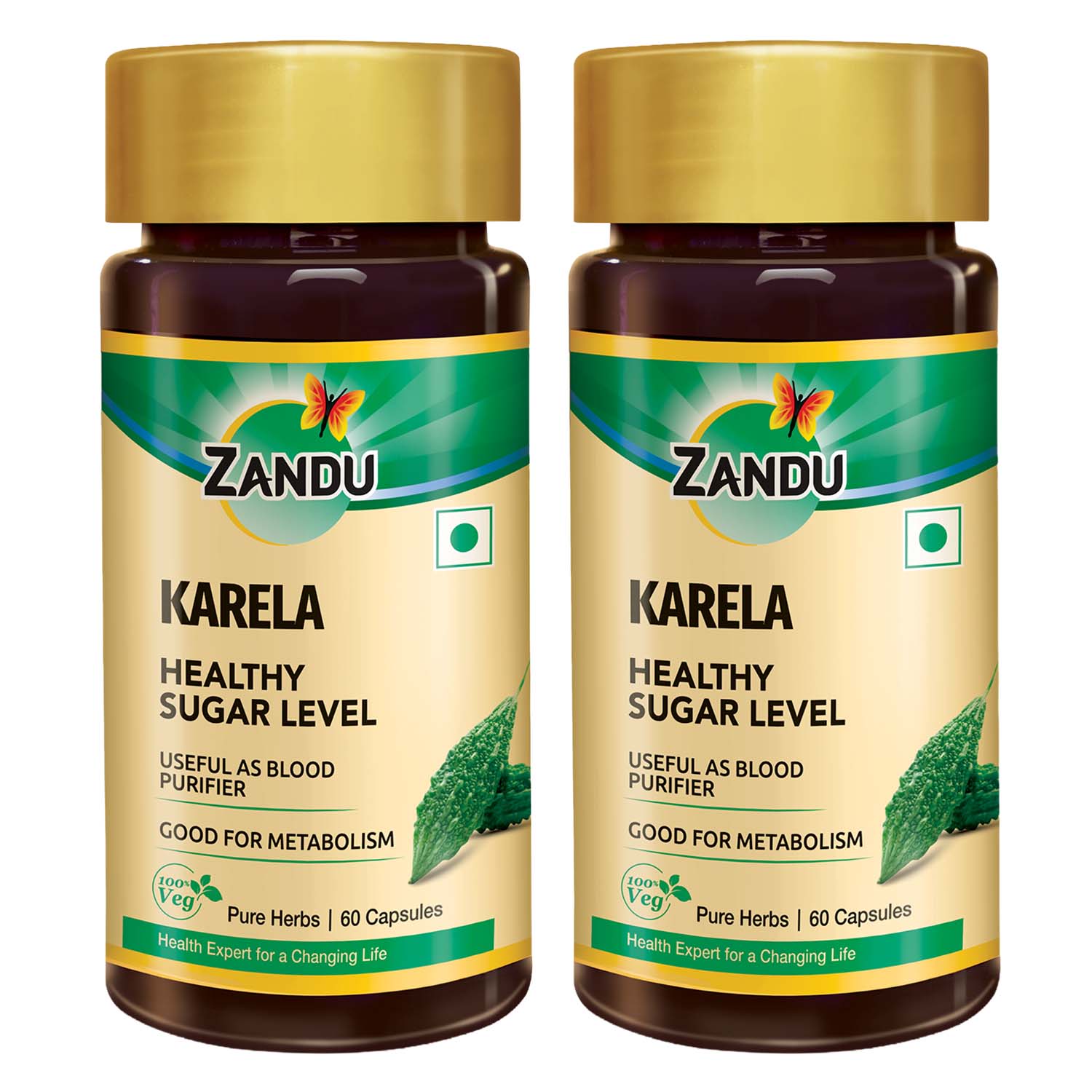 files/KARELA_P2.jpg