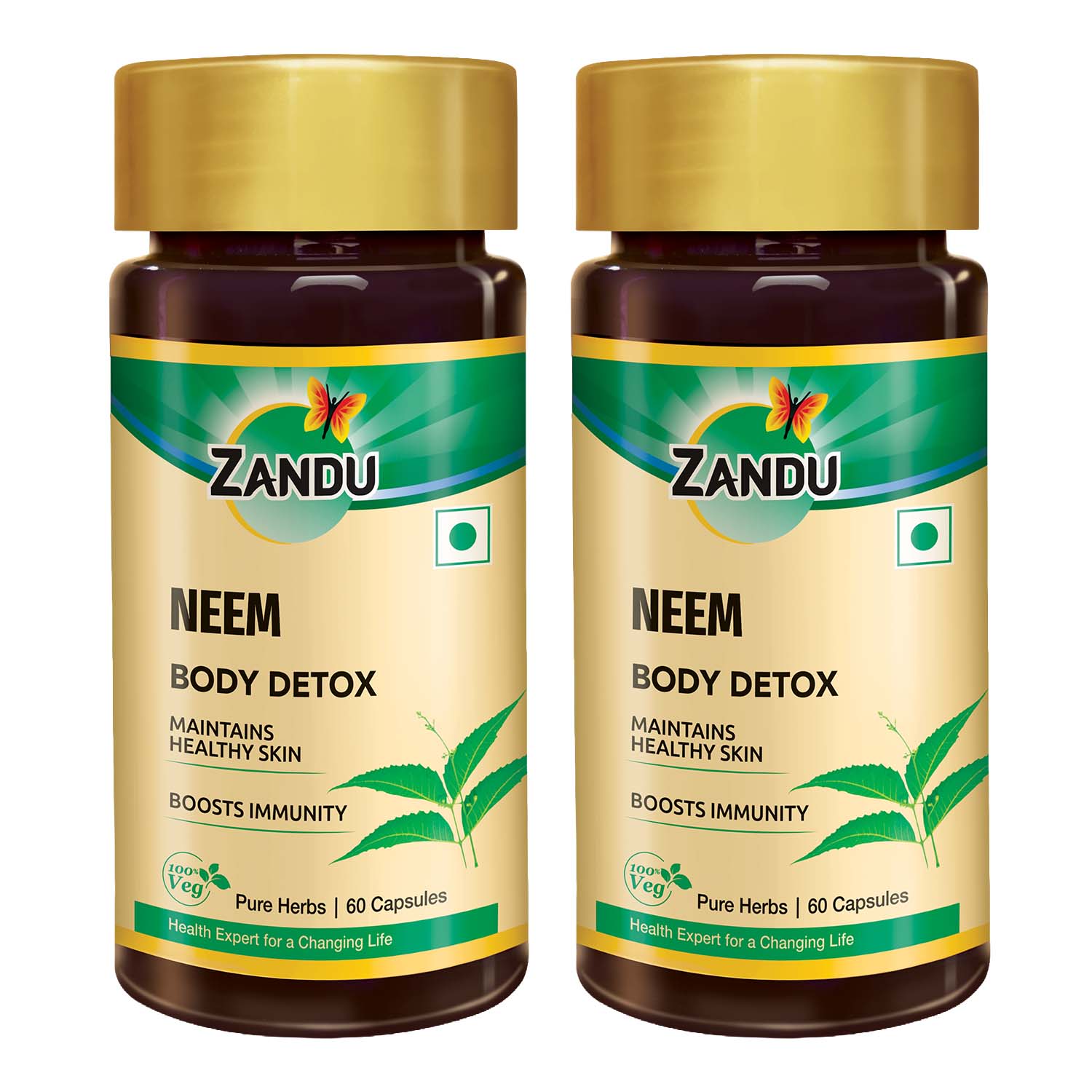 files/NEEM_P2.jpg