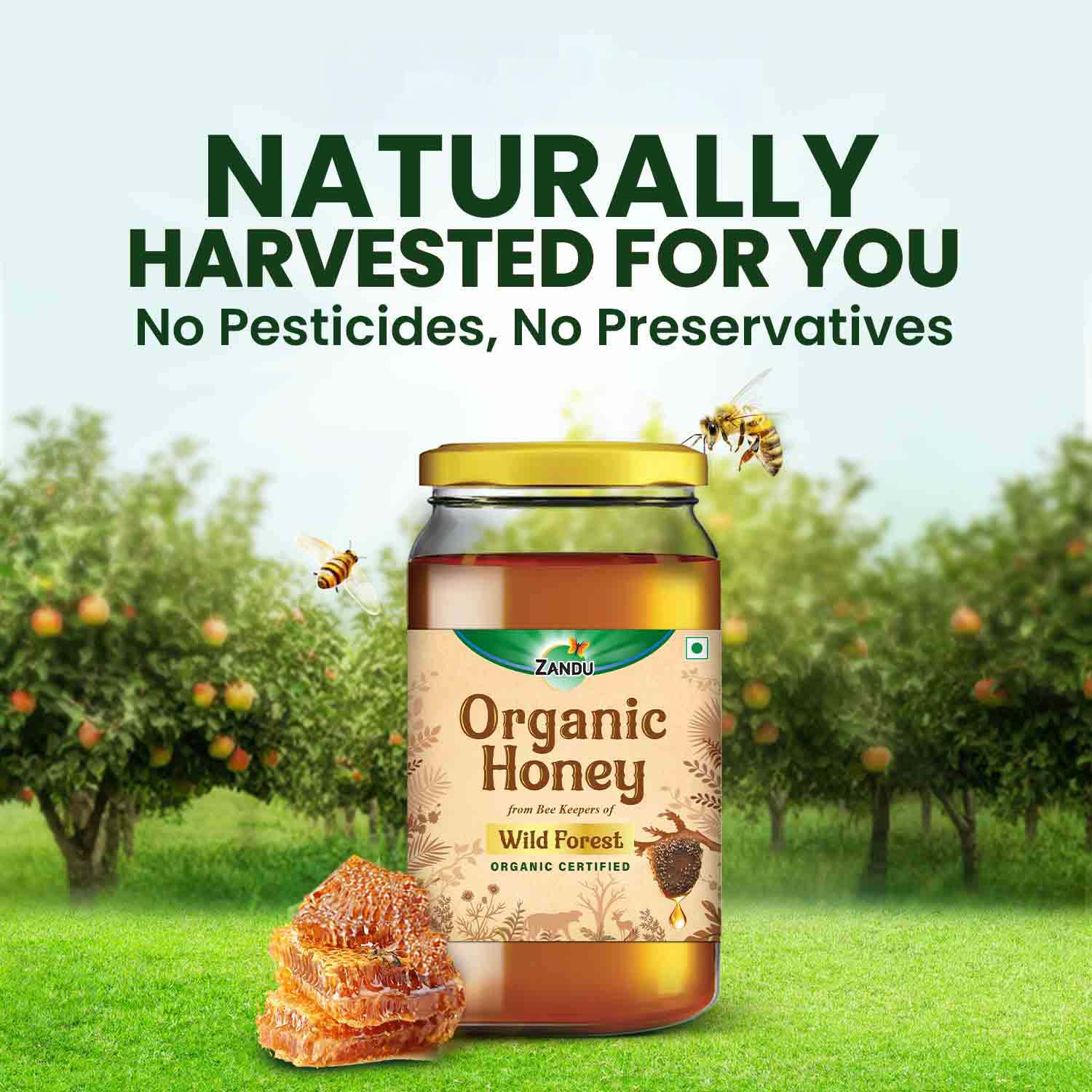 Zandu Organic Honey (Sourced from Wild Forests)