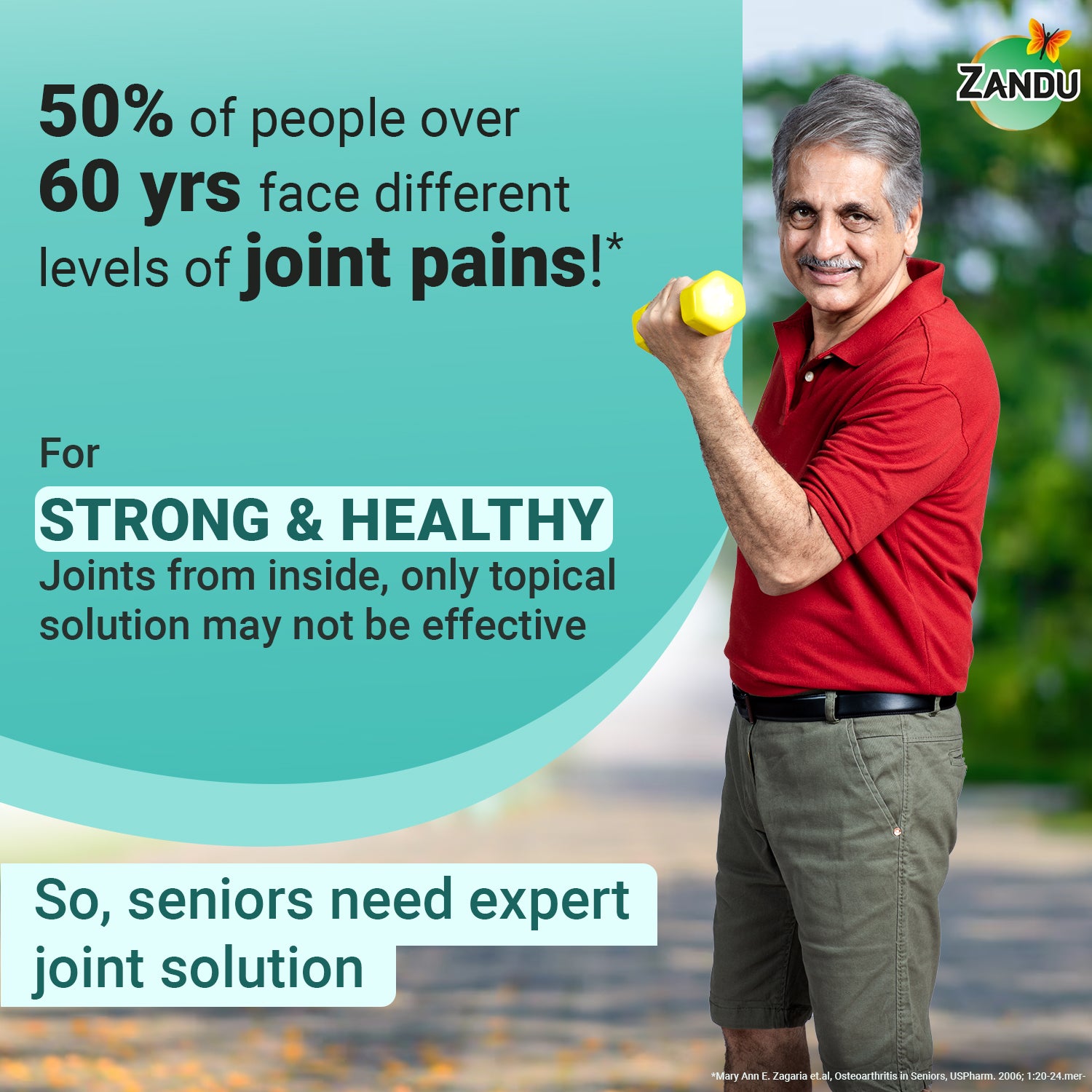 Why we need Joint pain supplements?
