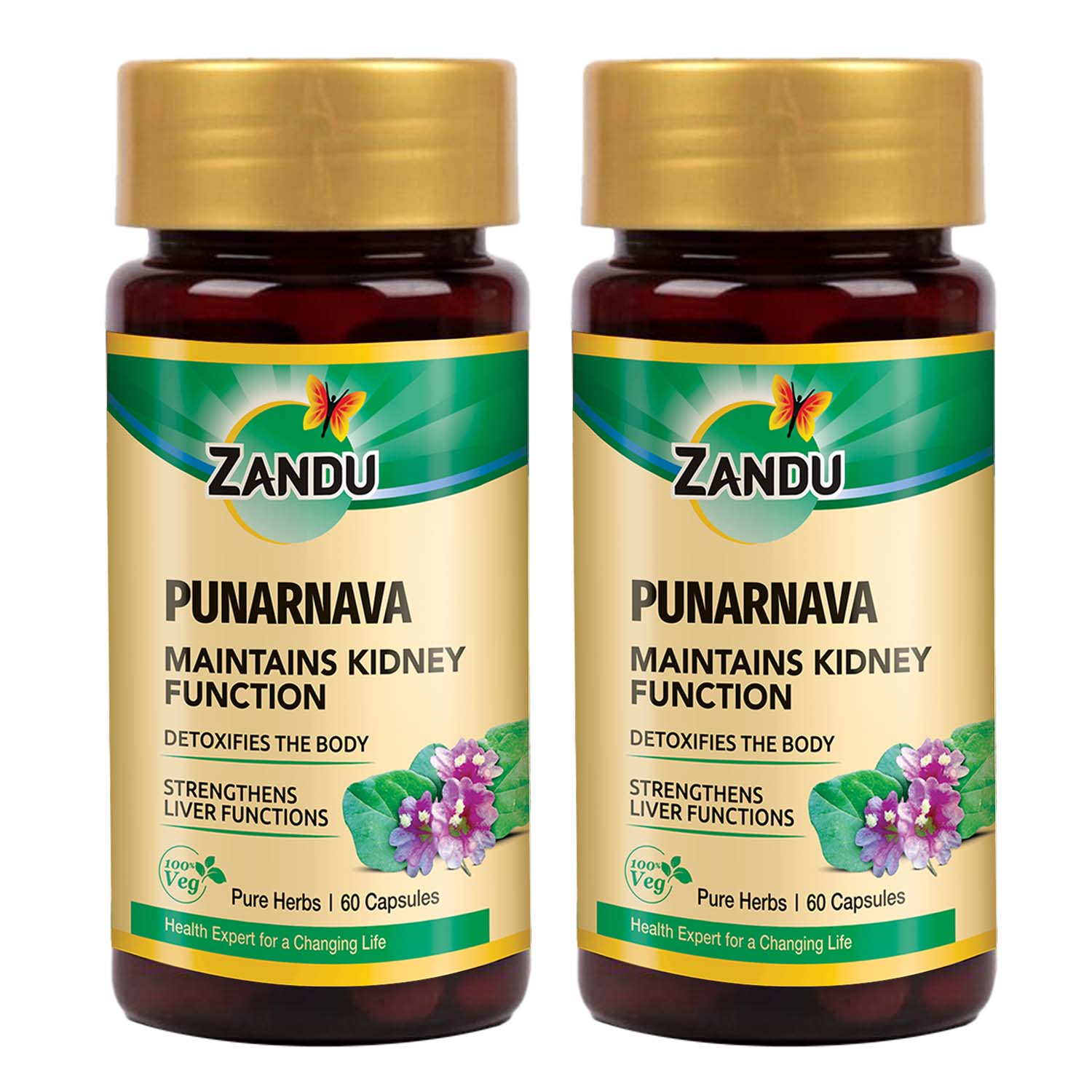 Kidney Detox Support (Pure Punarnava)