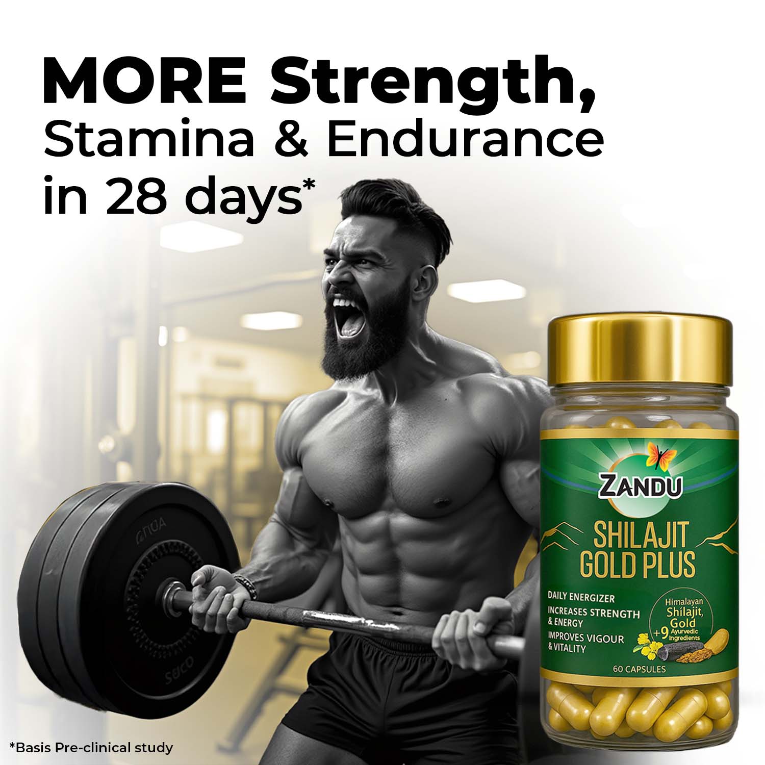 Zandu Shilajit Gold Capsule