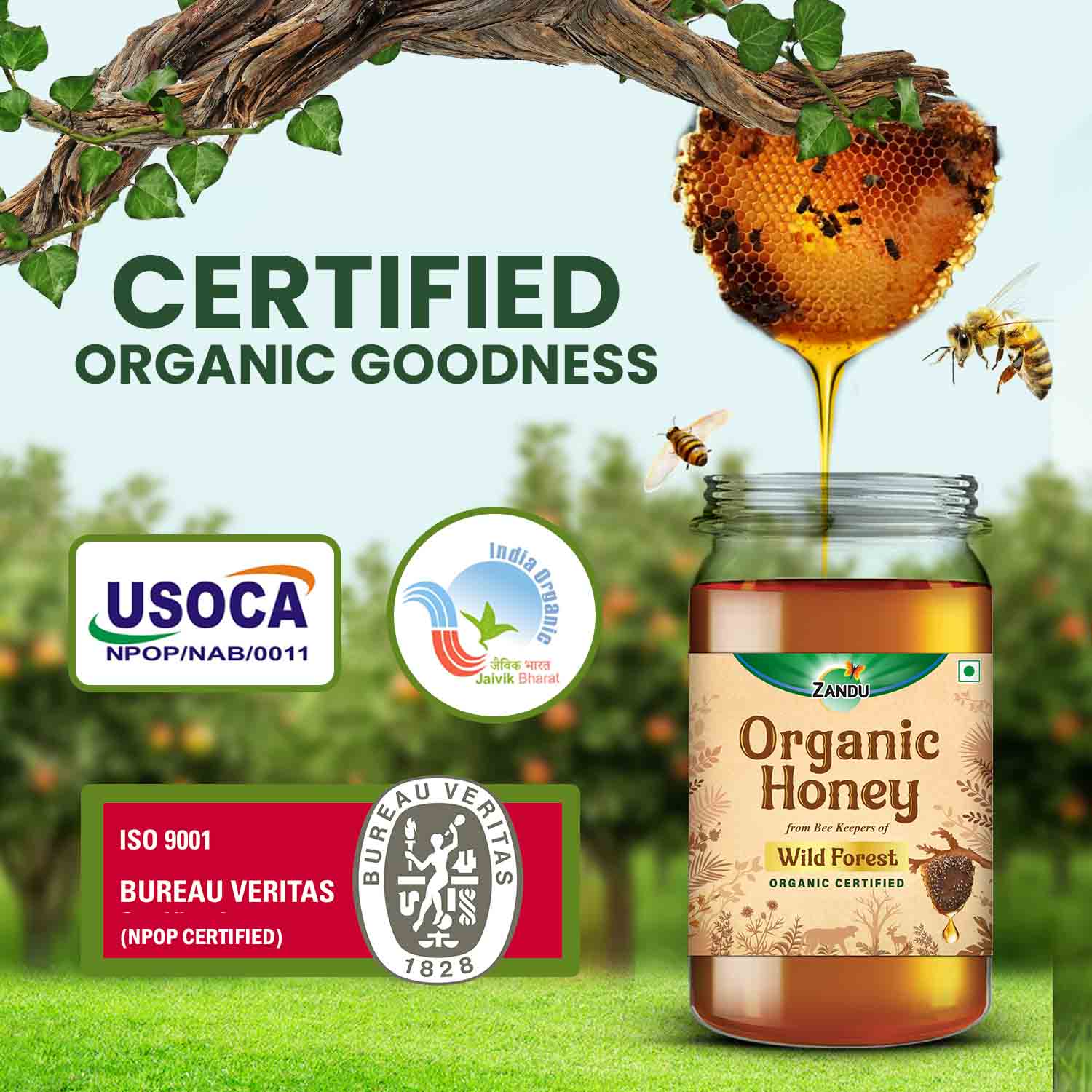 Zandu Organic Honey (Sourced from Wild Forests)