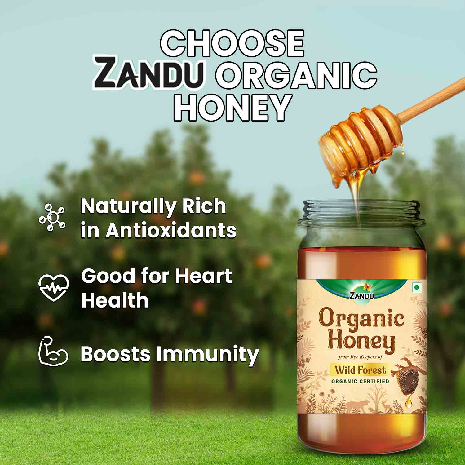 Zandu Organic Honey (Sourced from Wild Forests)