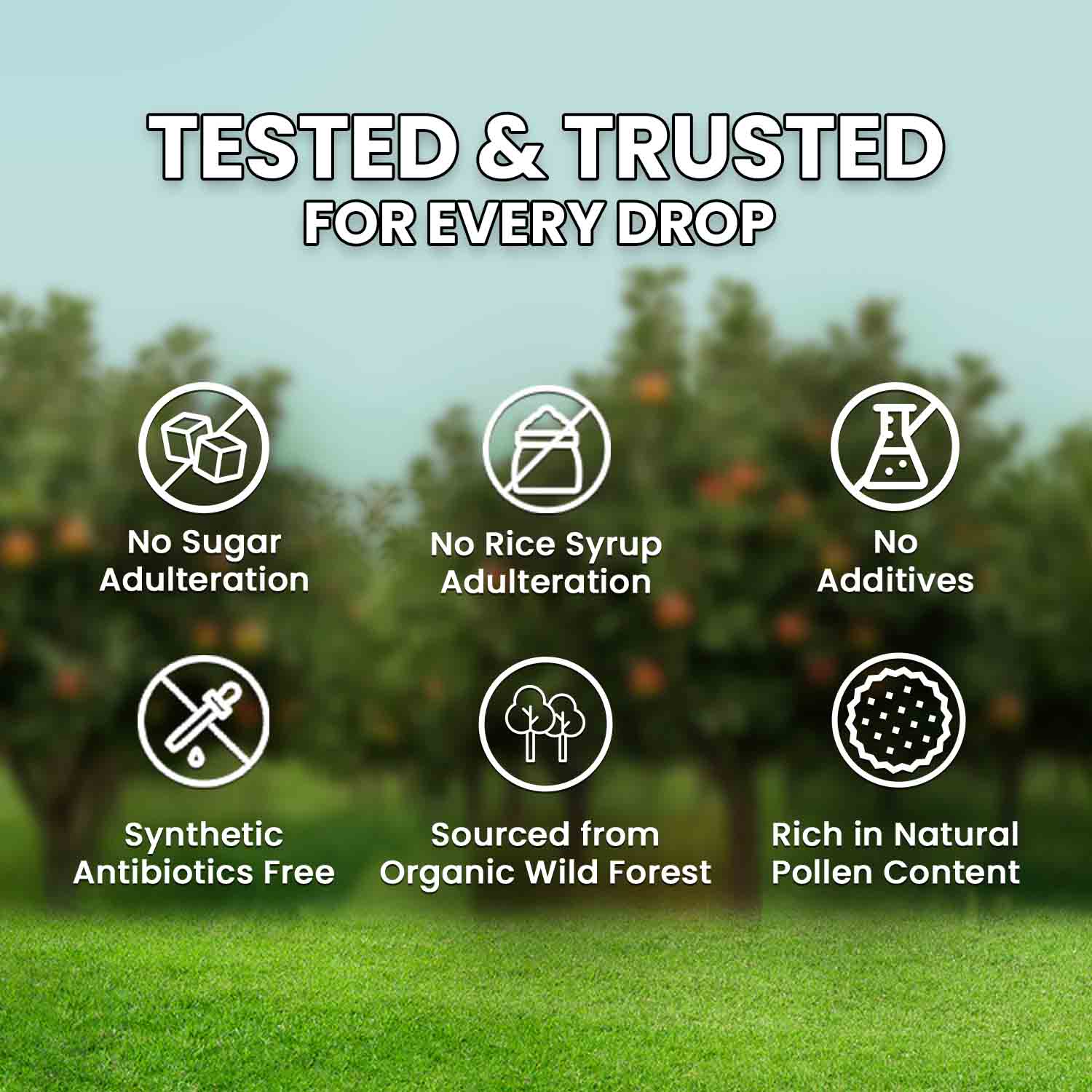 Zandu Organic Honey (Sourced from Wild Forests)