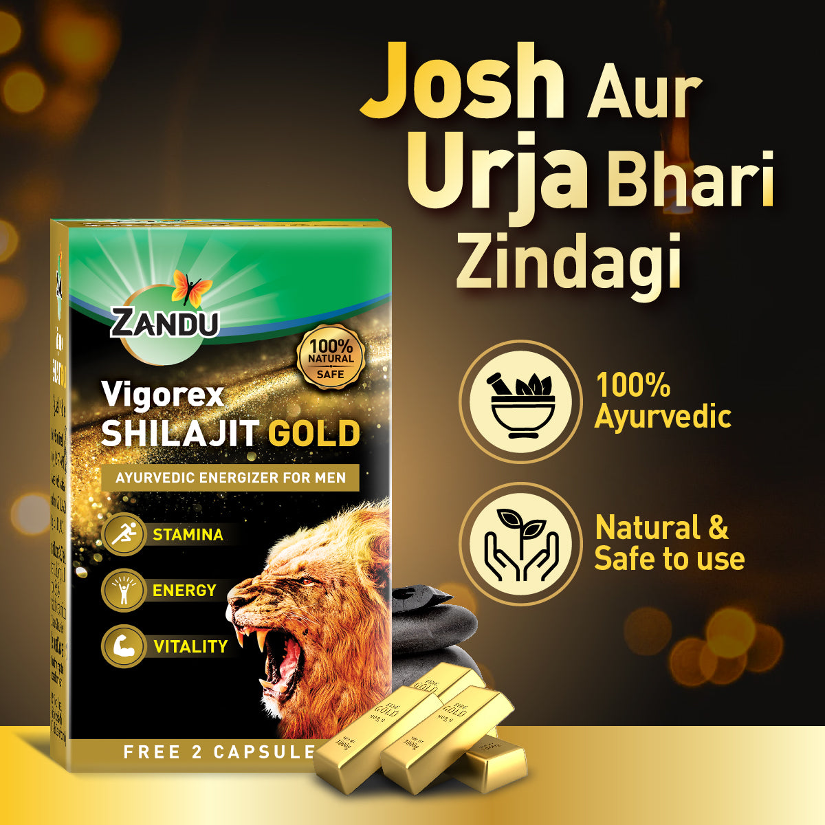 Zandu Vigorex Shilajit Gold (2 Caps Free)