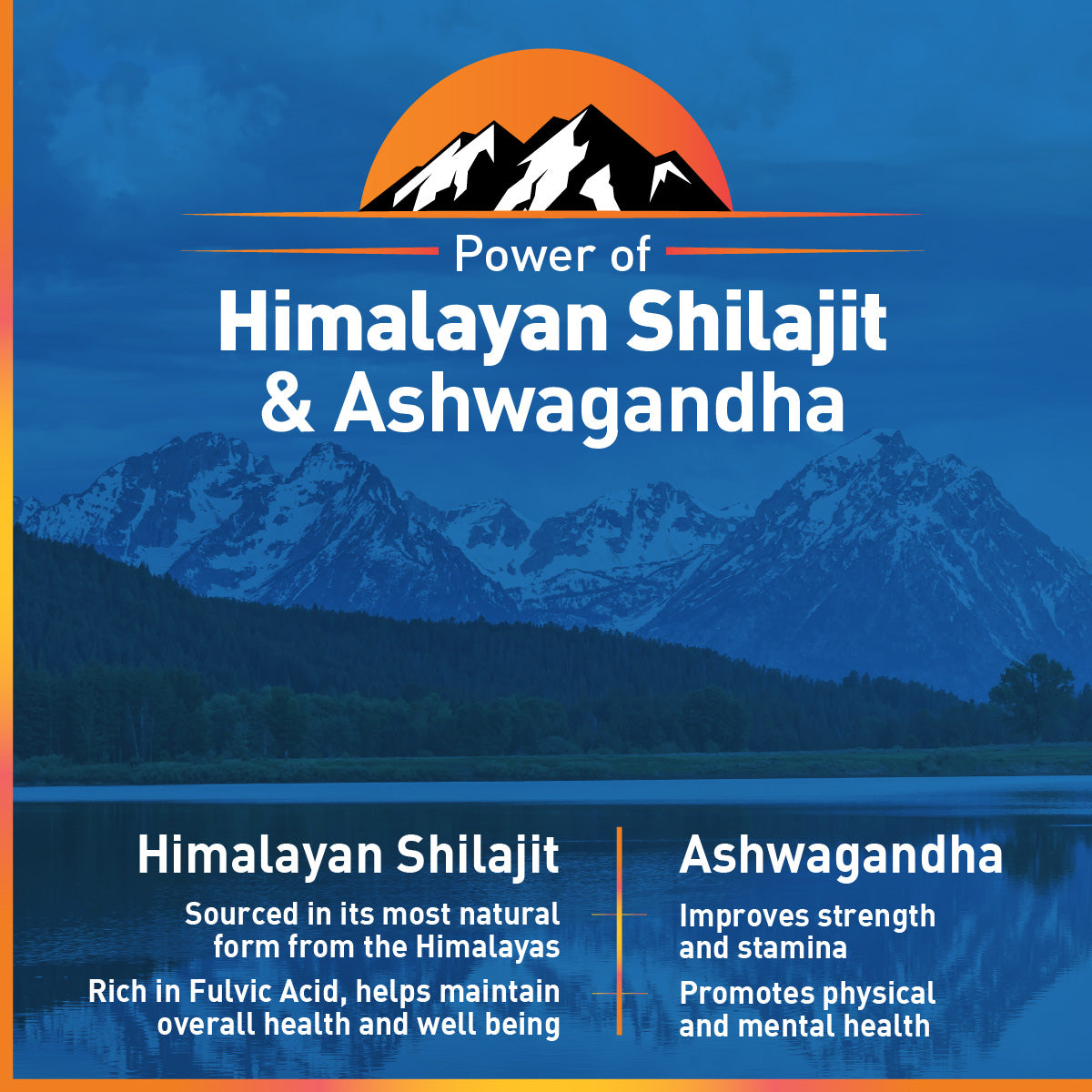 Vigorex Shilajit Ashwagandha Capsules for Strength, Stamina & Vitality (60 Caps)