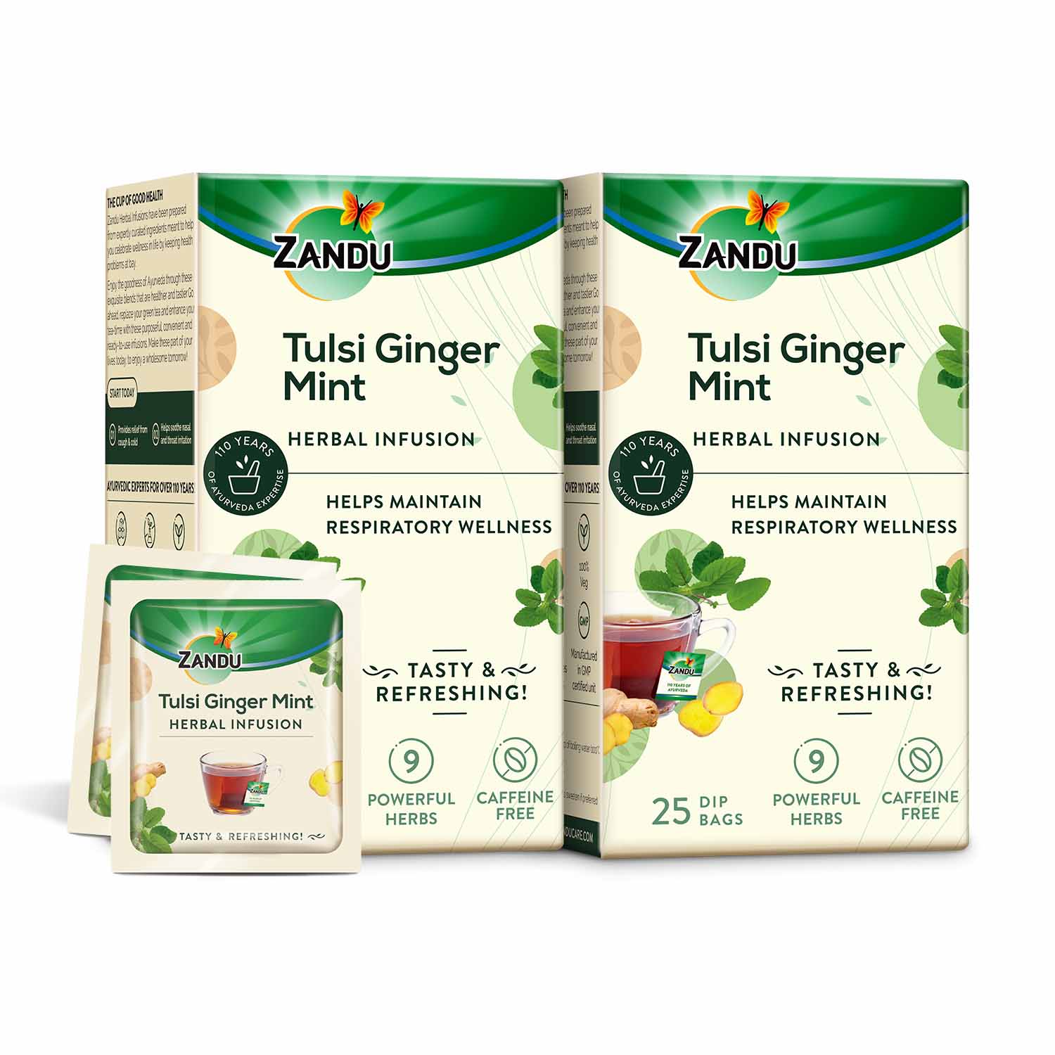 files/Zandu-Tulsi_Ginger_and_Mint_Front_P2_bbfa2eb8-8676-499e-a87c-895d25a1bc72.jpg