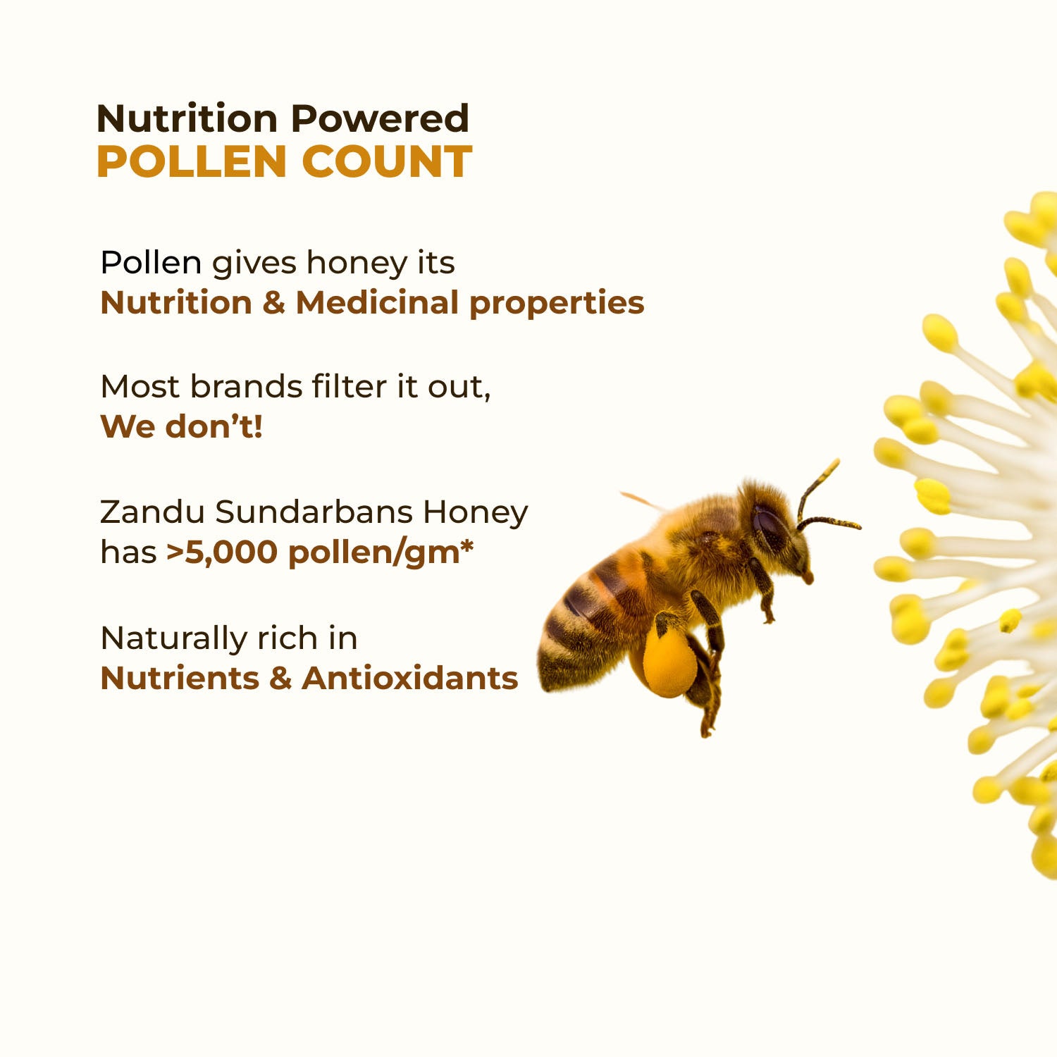 Zandu Sundarban Forest Honey