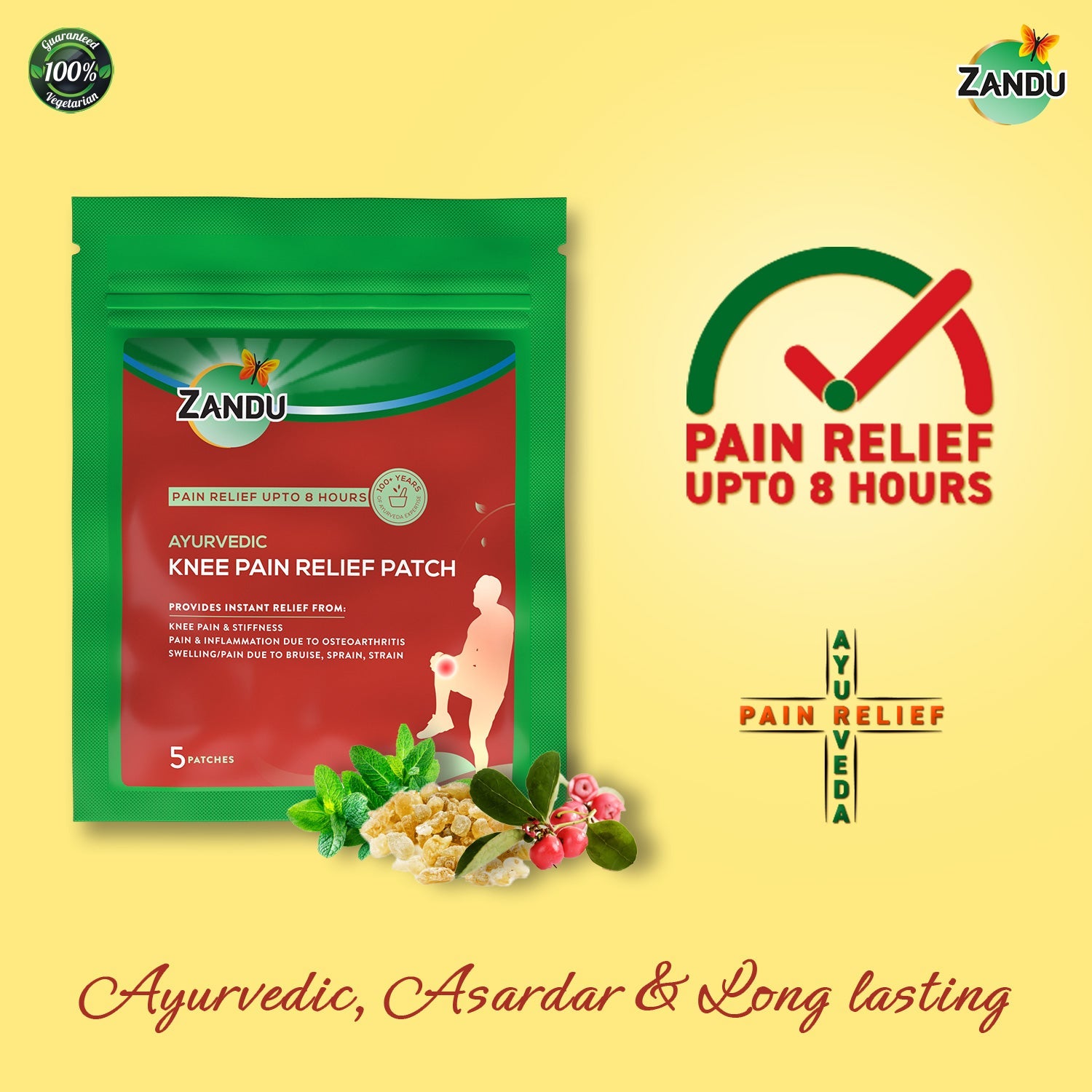 Zandu Knee Pain Relief Patch