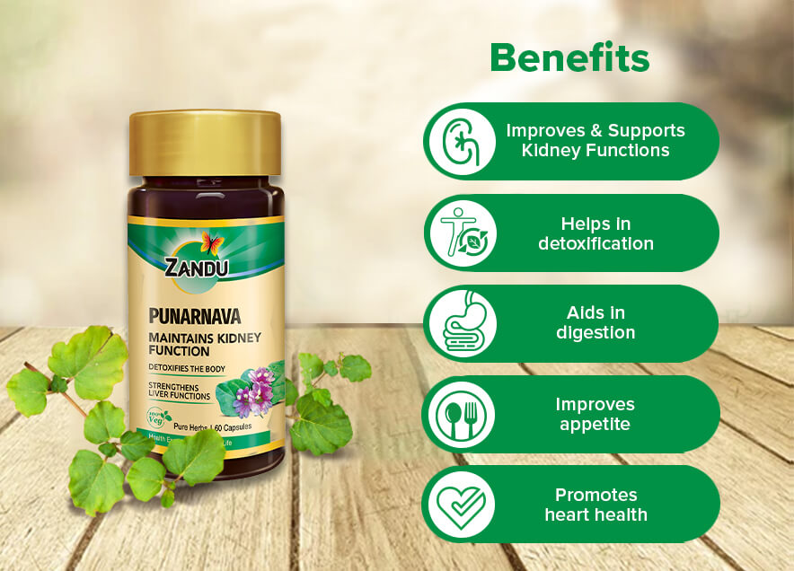 Punarnava extract benefits