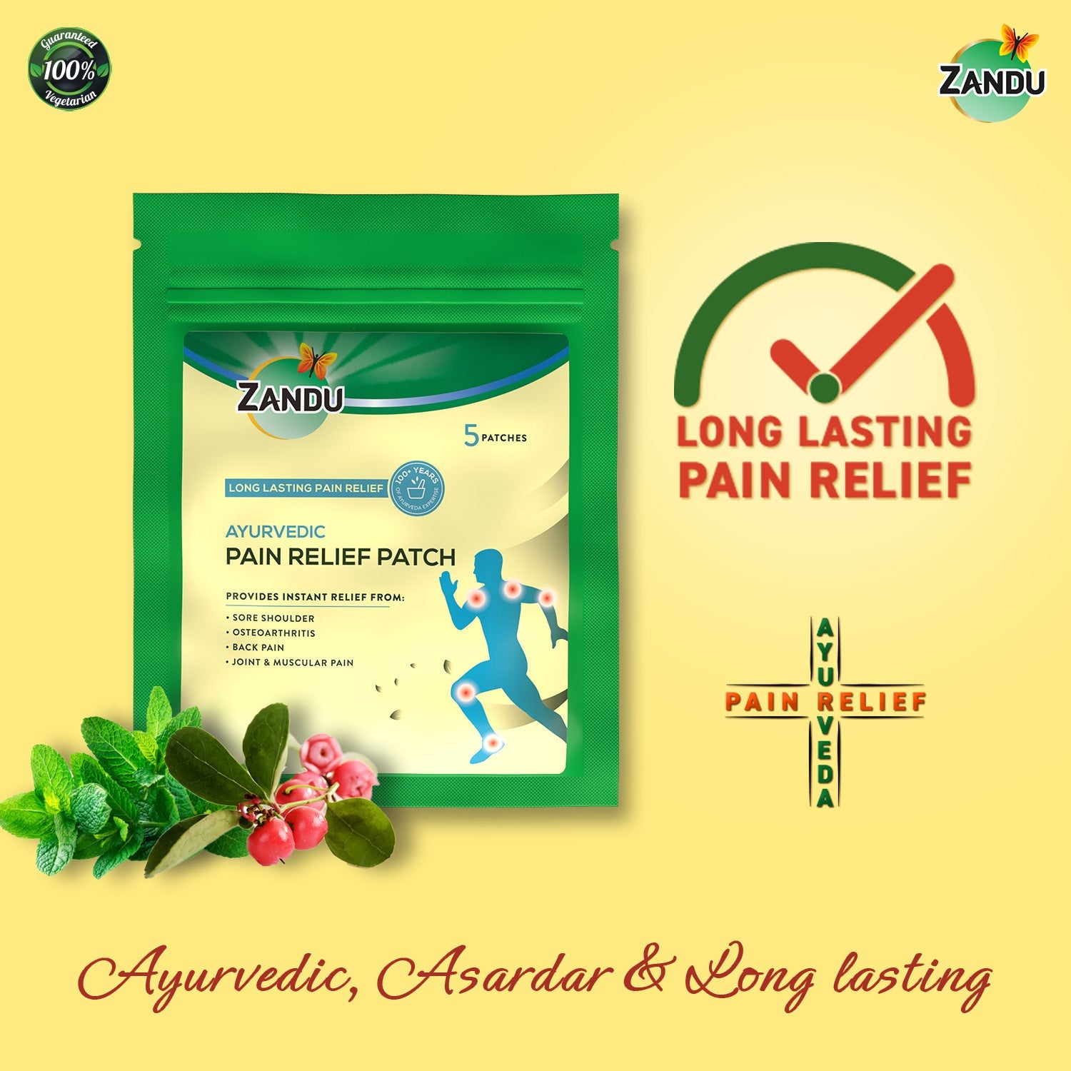 Zandu Pain Relief Patch