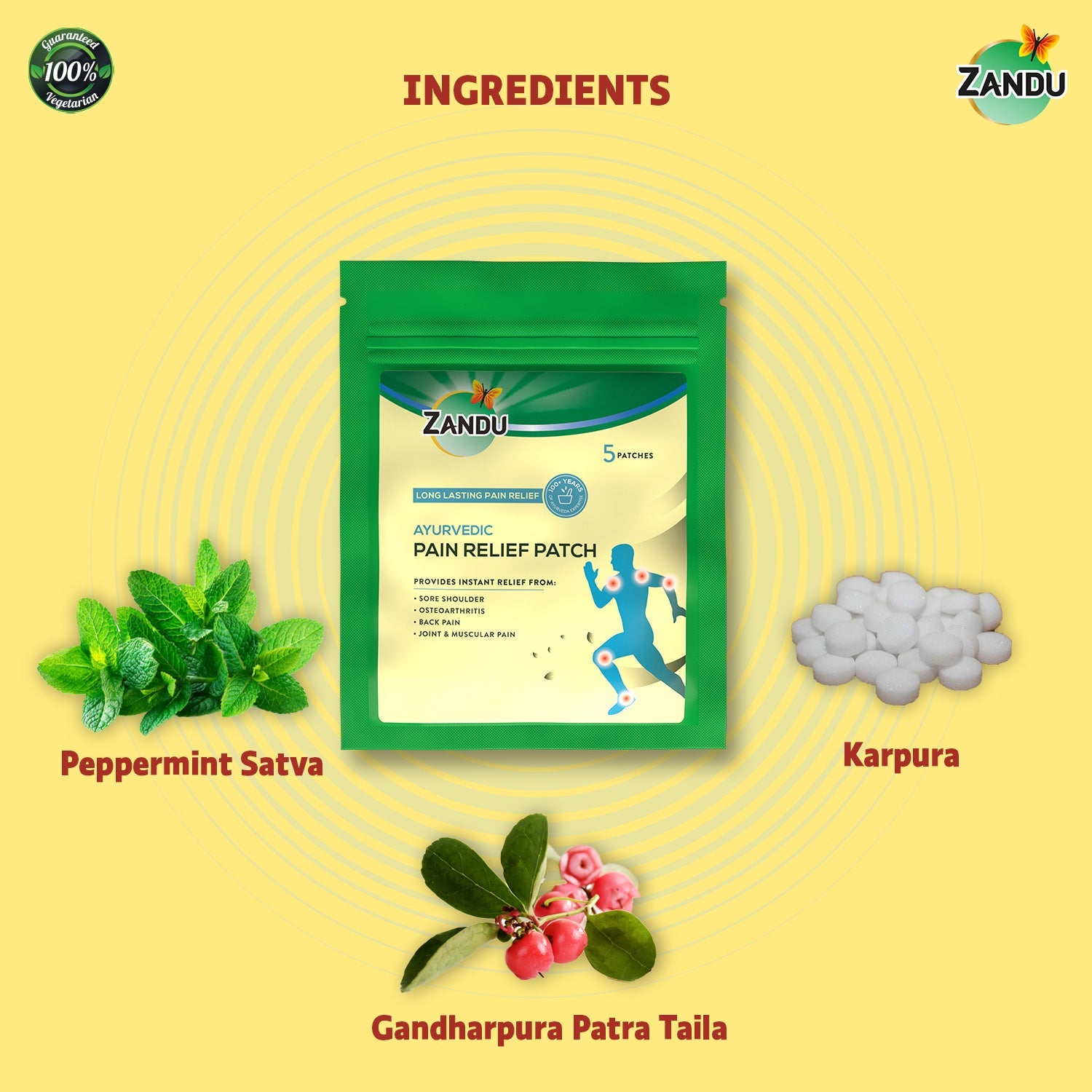 Zandu Pain Relief Patch